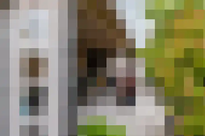 Master Roordawei 12 Tijnje thumbnail 23
