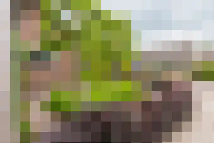 Master Roordawei 12 Tijnje thumbnail 24