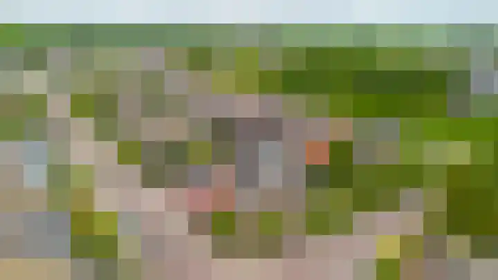 Master Roordawei 12 Tijnje thumbnail 25
