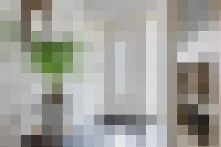 Master Roordawei 12 Tijnje thumbnail 26