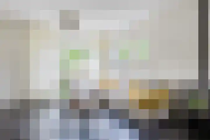 Master Roordawei 12 Tijnje thumbnail 29