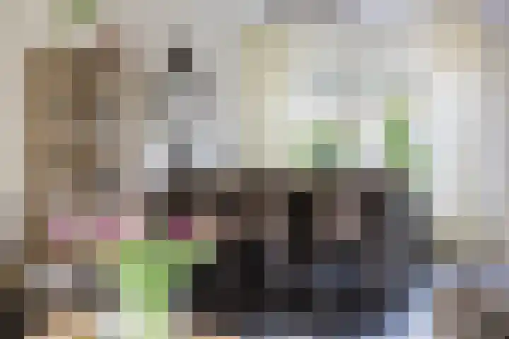 Master Roordawei 12 Tijnje thumbnail 37