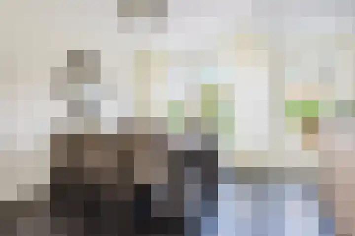 Master Roordawei 12 Tijnje thumbnail 38