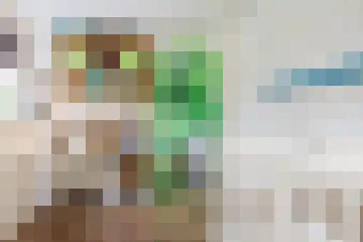 Master Roordawei 12 Tijnje thumbnail 55
