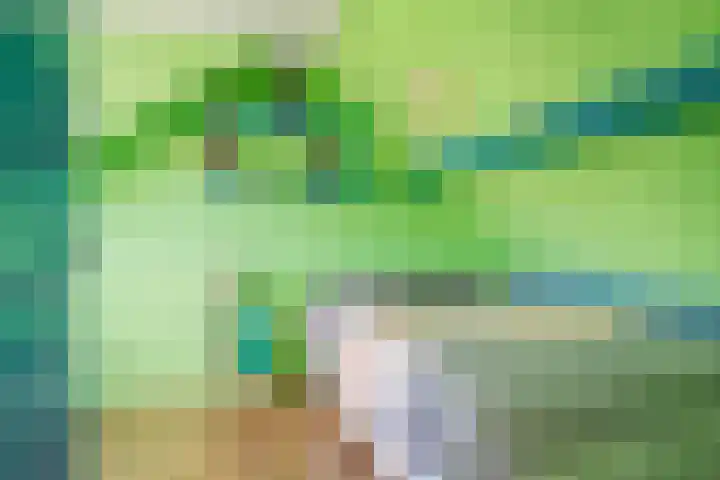 Master Roordawei 12 Tijnje thumbnail 56