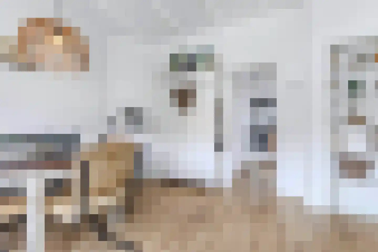 Master Wielsmaplein 4 Grou thumbnail 14