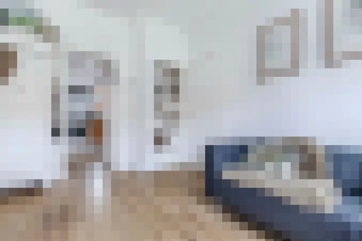 Master Wielsmaplein 4 Grou thumbnail 15