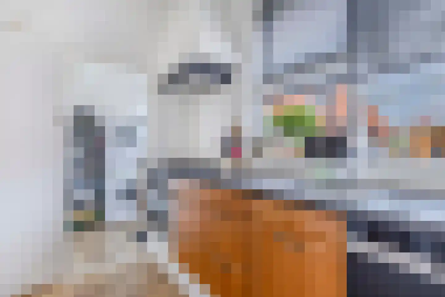 Master Wielsmaplein 4 Grou thumbnail 18