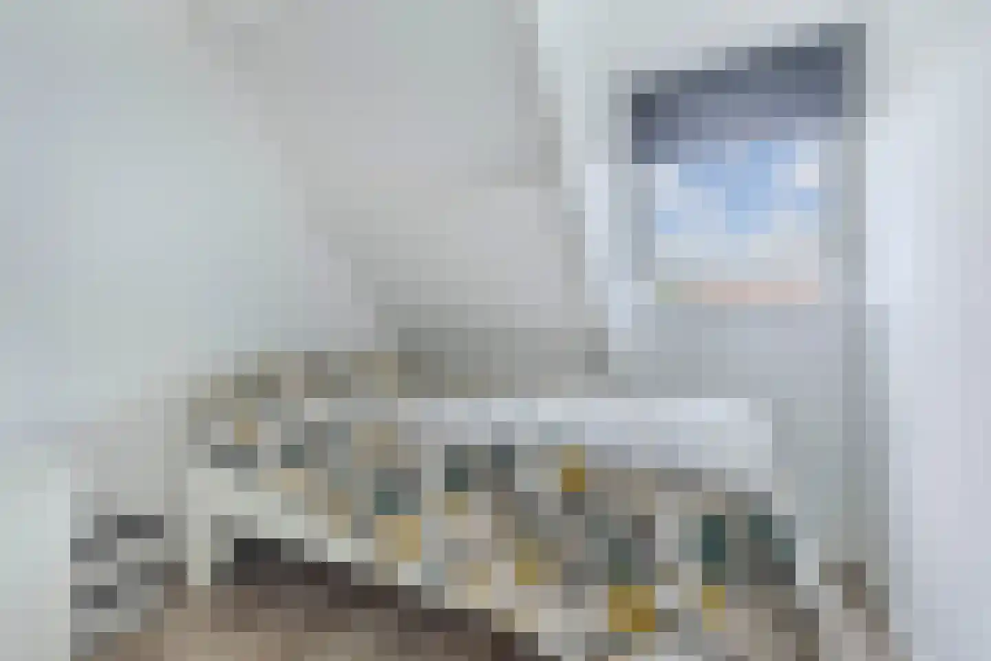 Master Wielsmaplein 4 Grou thumbnail 24
