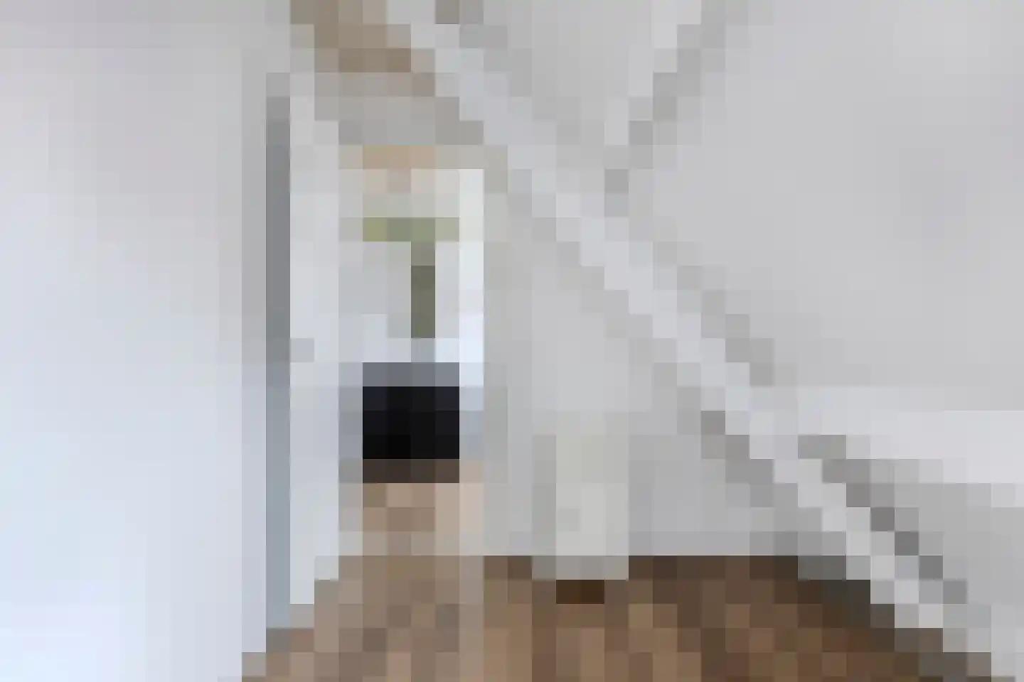 Master Wielsmaplein 4 Grou thumbnail 28