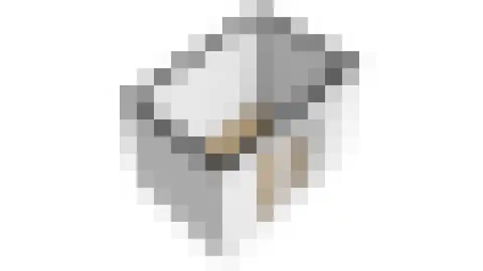 Master Wielsmaplein 4 Grou thumbnail 47