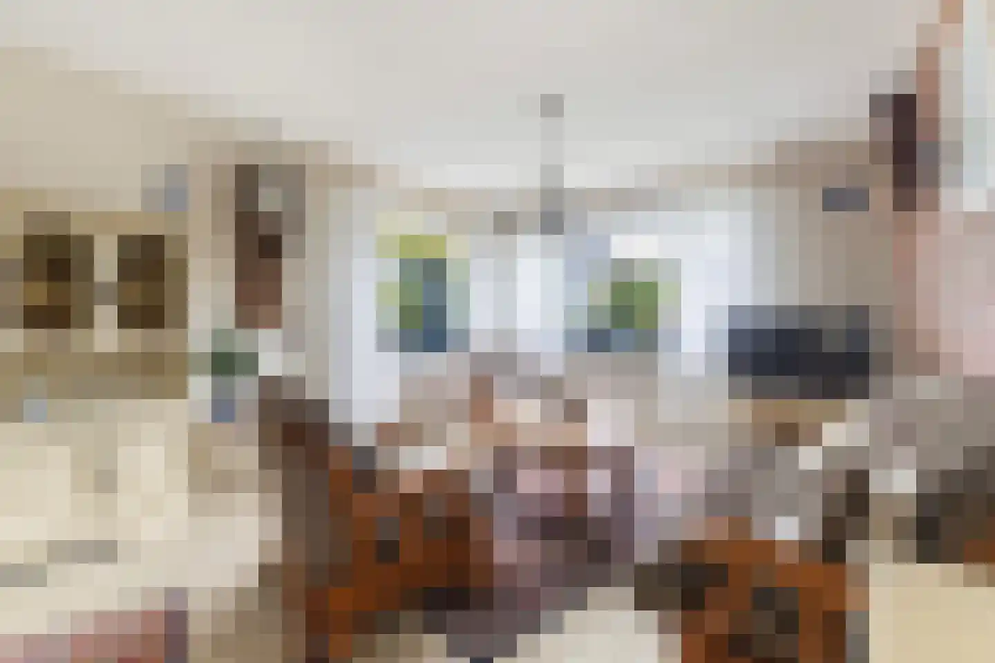 Master Woudstrastrjitte 2 Broeksterwâld thumbnail 14