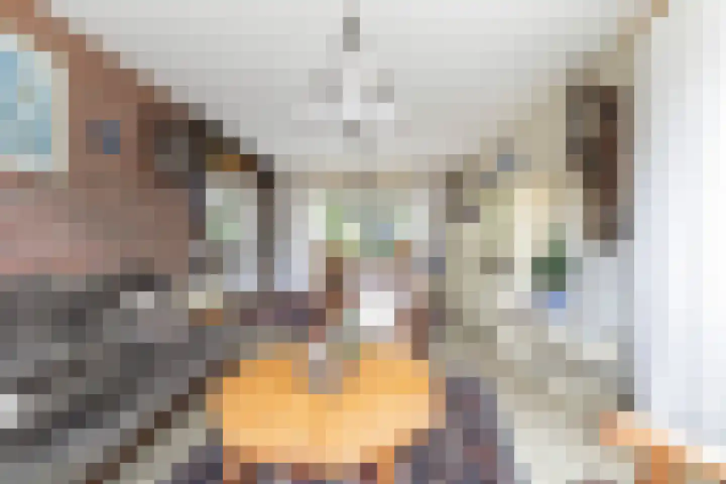 Master Woudstrastrjitte 2 Broeksterwâld thumbnail 15