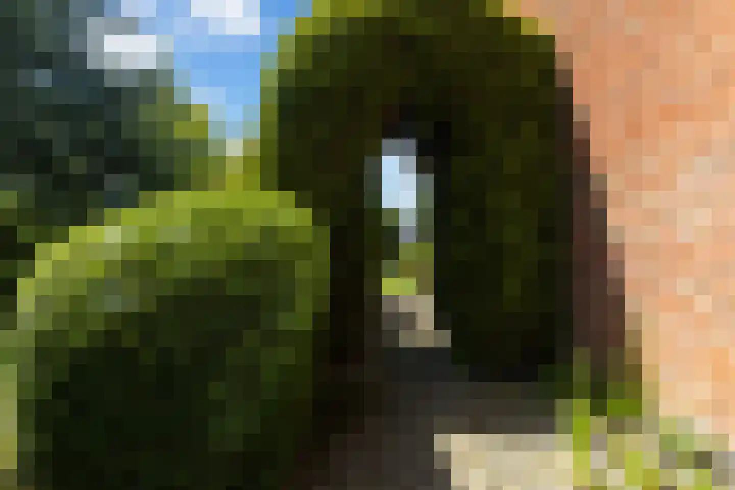 Master Woudstrastrjitte 2 Broeksterwâld thumbnail 23