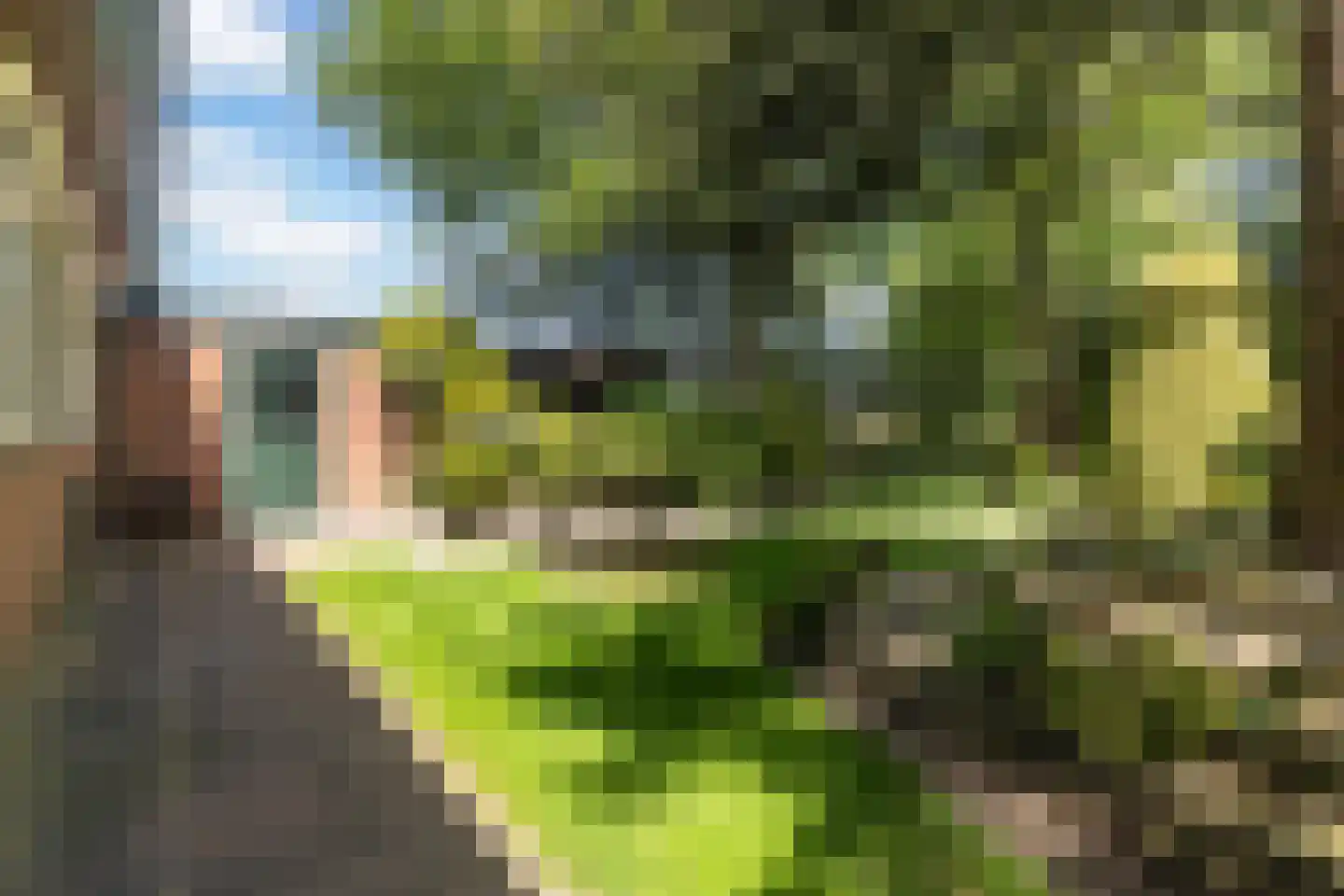 Master Woudstrastrjitte 2 Broeksterwâld thumbnail 24