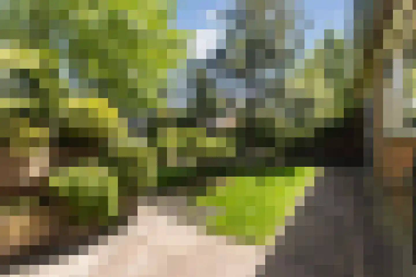 Master Woudstrastrjitte 2 Broeksterwâld thumbnail 25