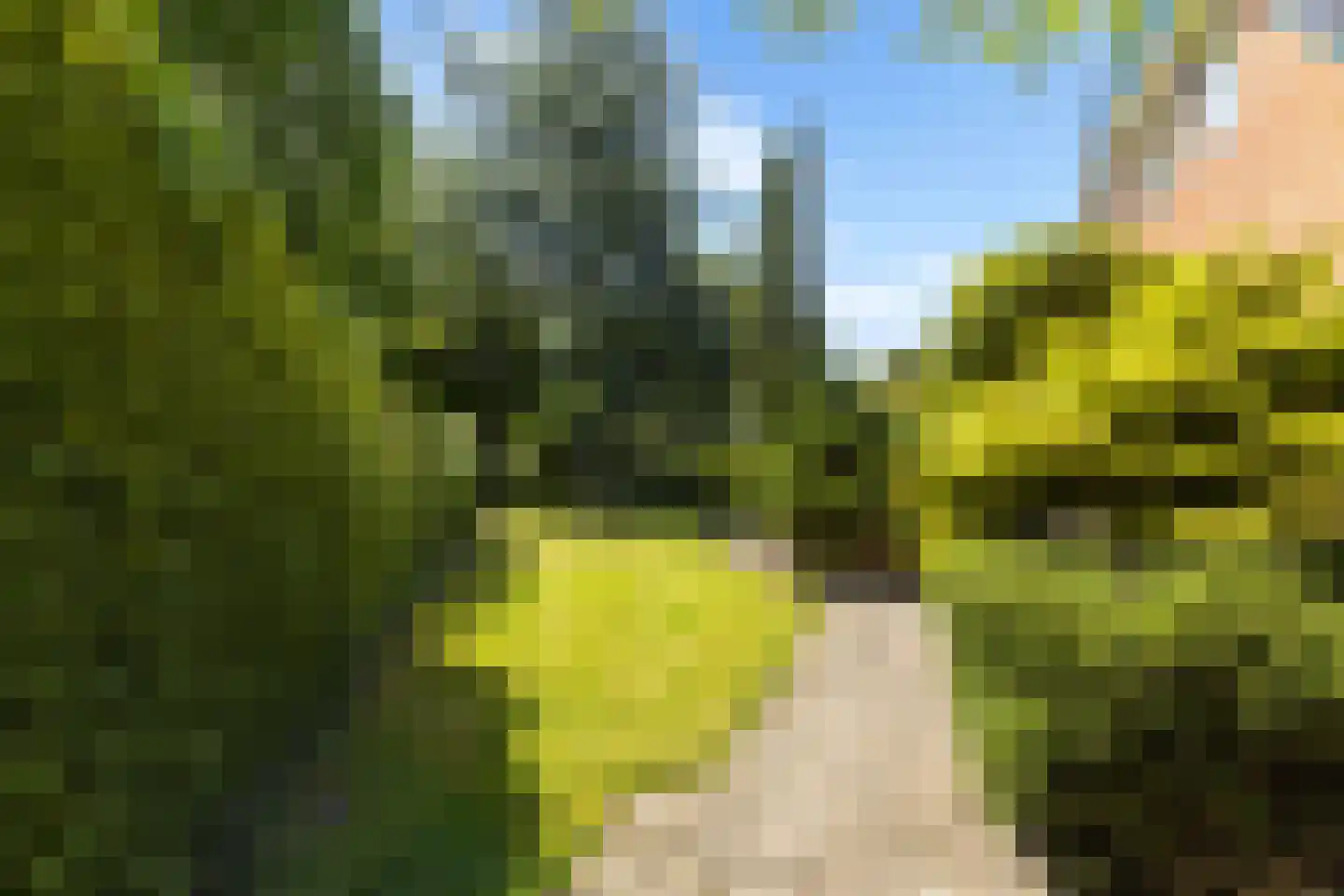 Master Woudstrastrjitte 2 Broeksterwâld thumbnail 26