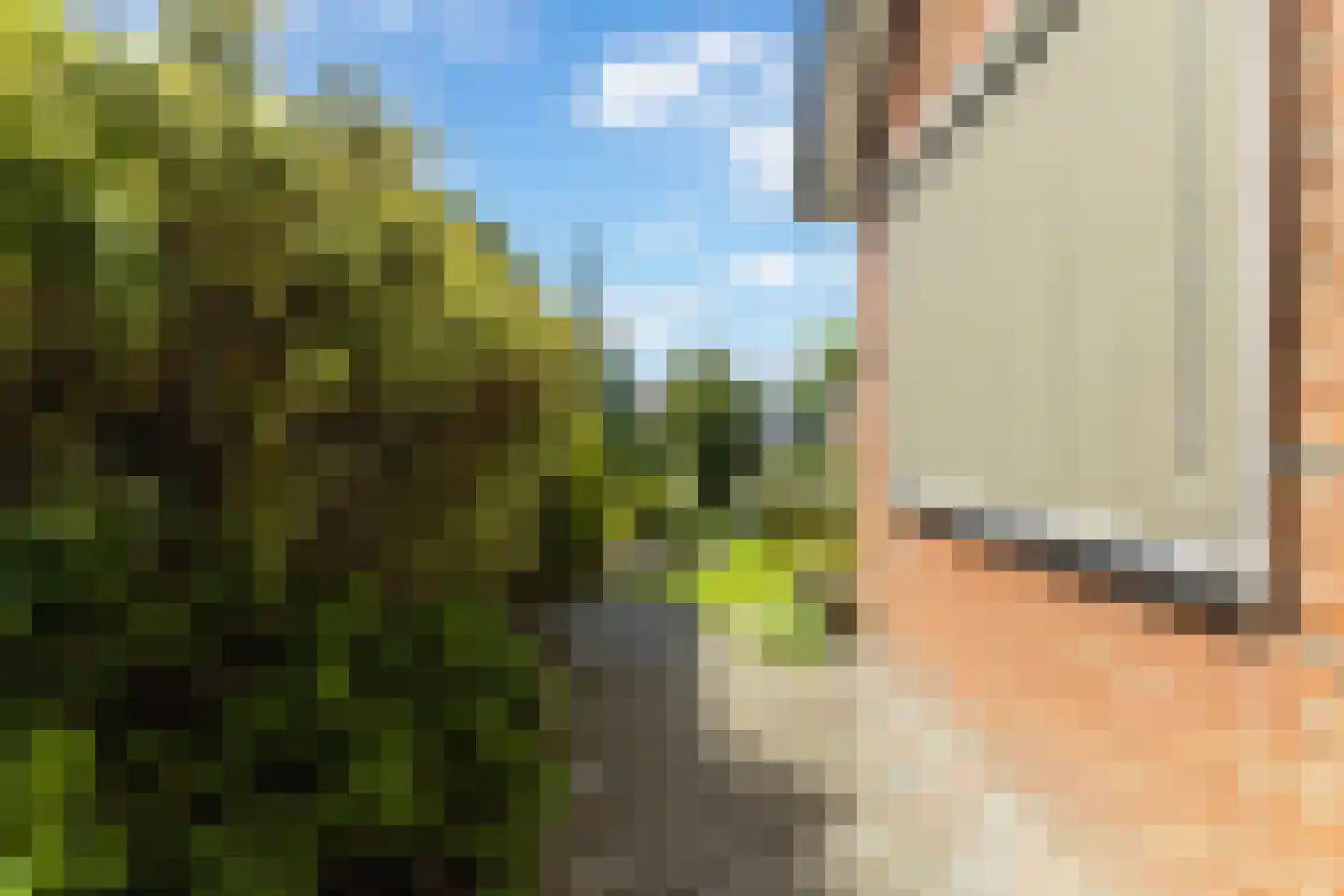 Master Woudstrastrjitte 2 Broeksterwâld thumbnail 27