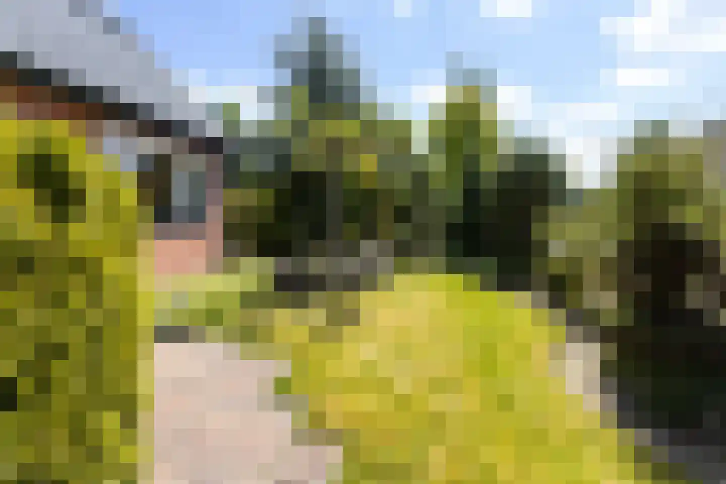 Master Woudstrastrjitte 2 Broeksterwâld thumbnail 28