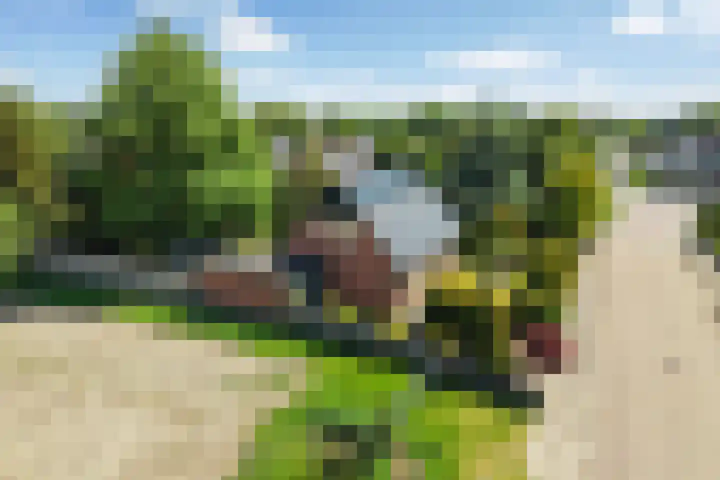 Master Woudstrastrjitte 2 Broeksterwâld foto 3