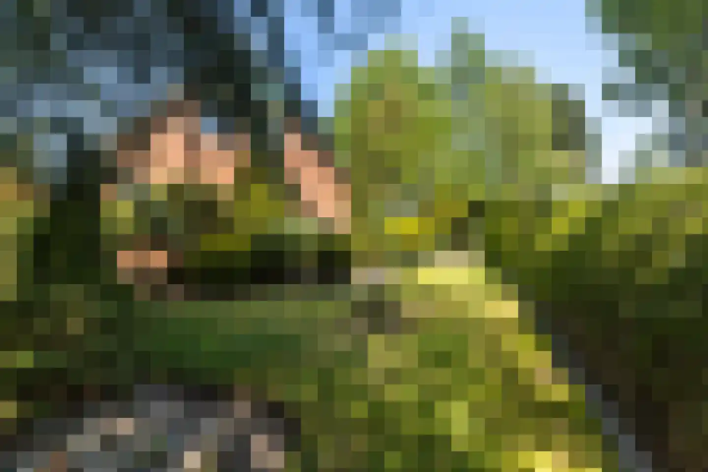 Master Woudstrastrjitte 2 Broeksterwâld thumbnail 30