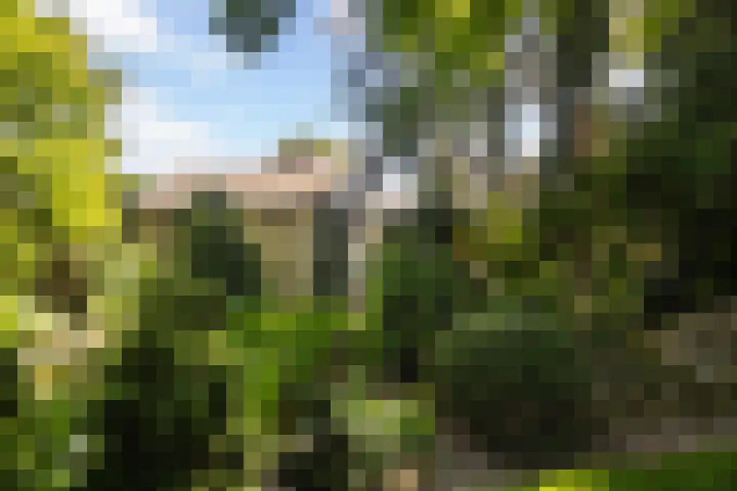 Master Woudstrastrjitte 2 Broeksterwâld thumbnail 31