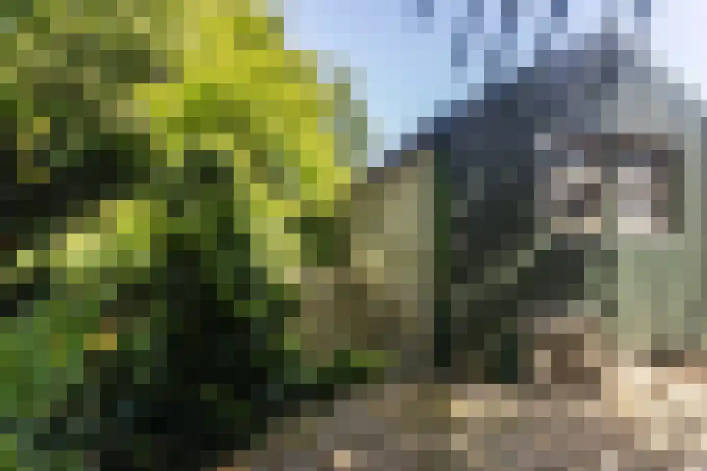 Master Woudstrastrjitte 2 Broeksterwâld thumbnail 32