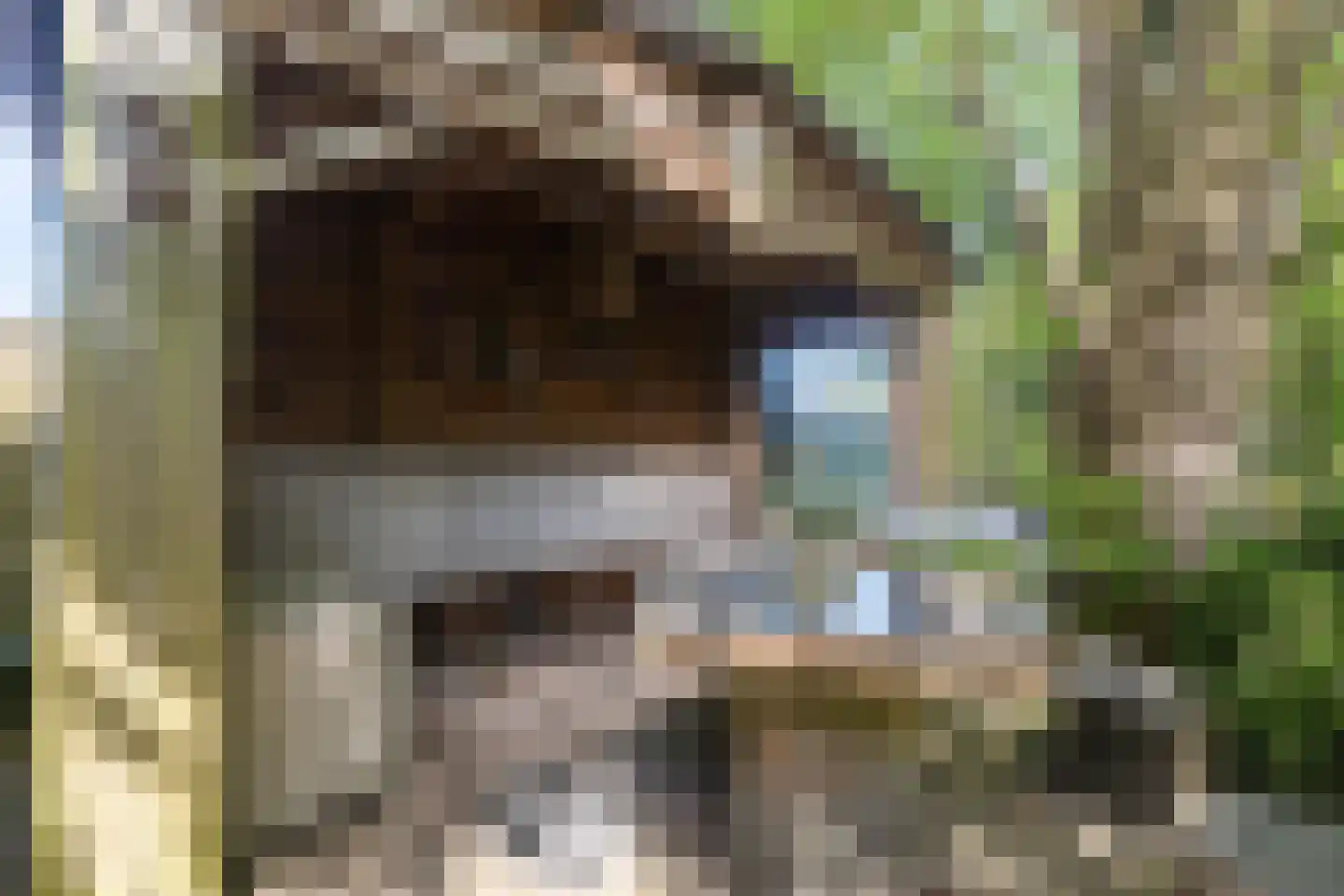 Master Woudstrastrjitte 2 Broeksterwâld thumbnail 33
