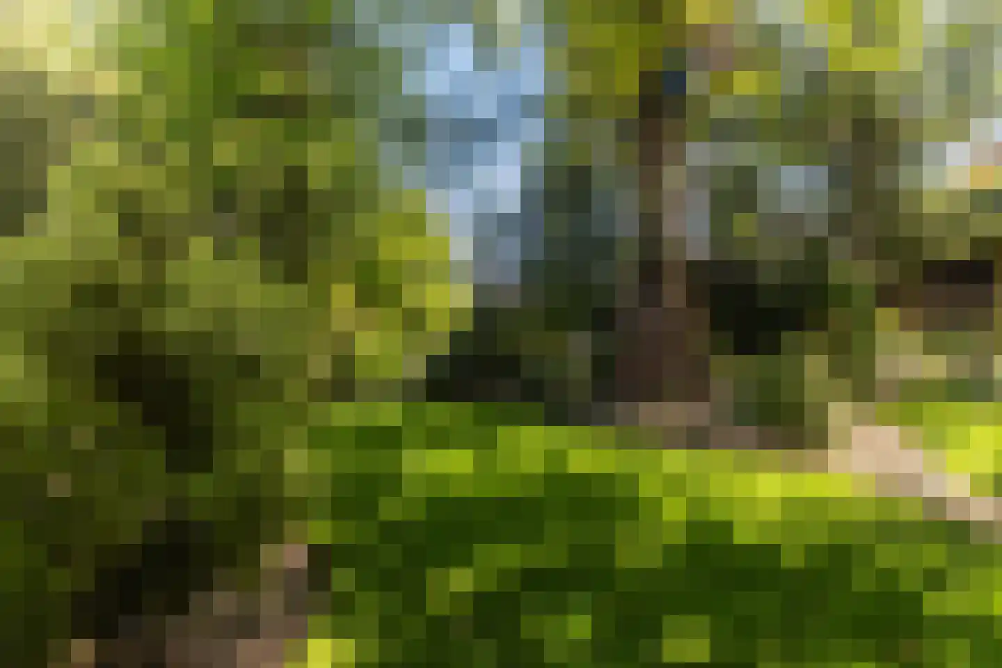 Master Woudstrastrjitte 2 Broeksterwâld thumbnail 34