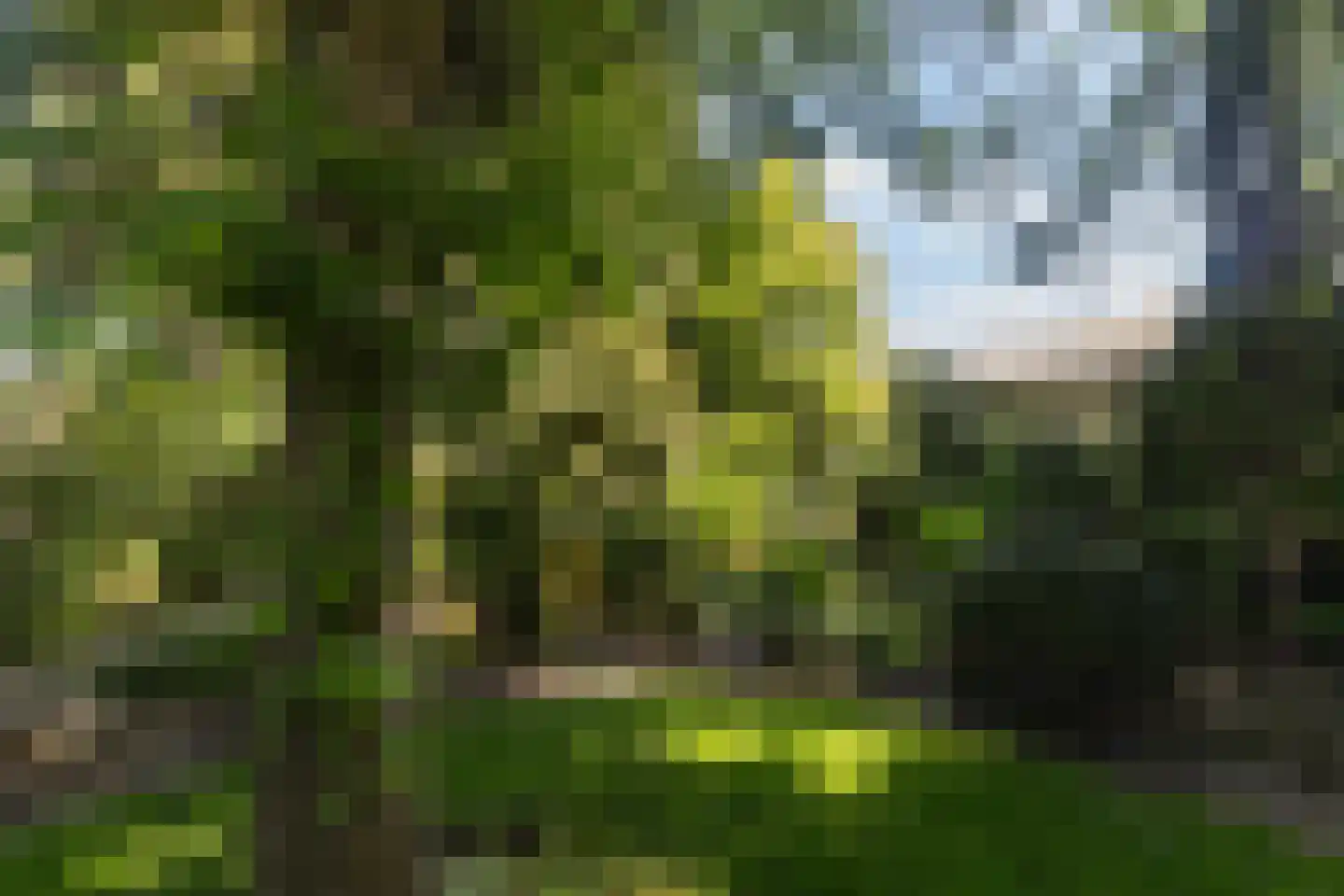 Master Woudstrastrjitte 2 Broeksterwâld thumbnail 35