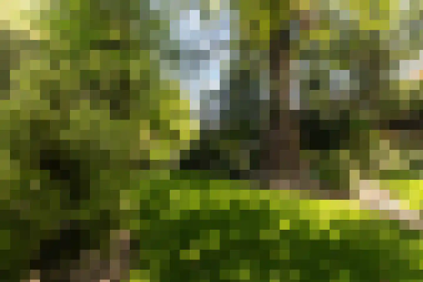 Master Woudstrastrjitte 2 Broeksterwâld thumbnail 36