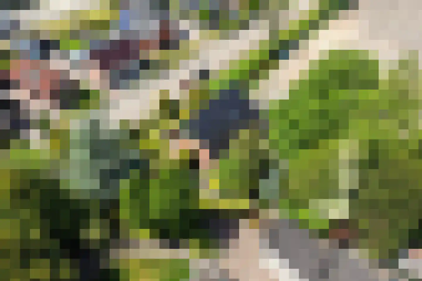 Master Woudstrastrjitte 2 Broeksterwâld thumbnail 45
