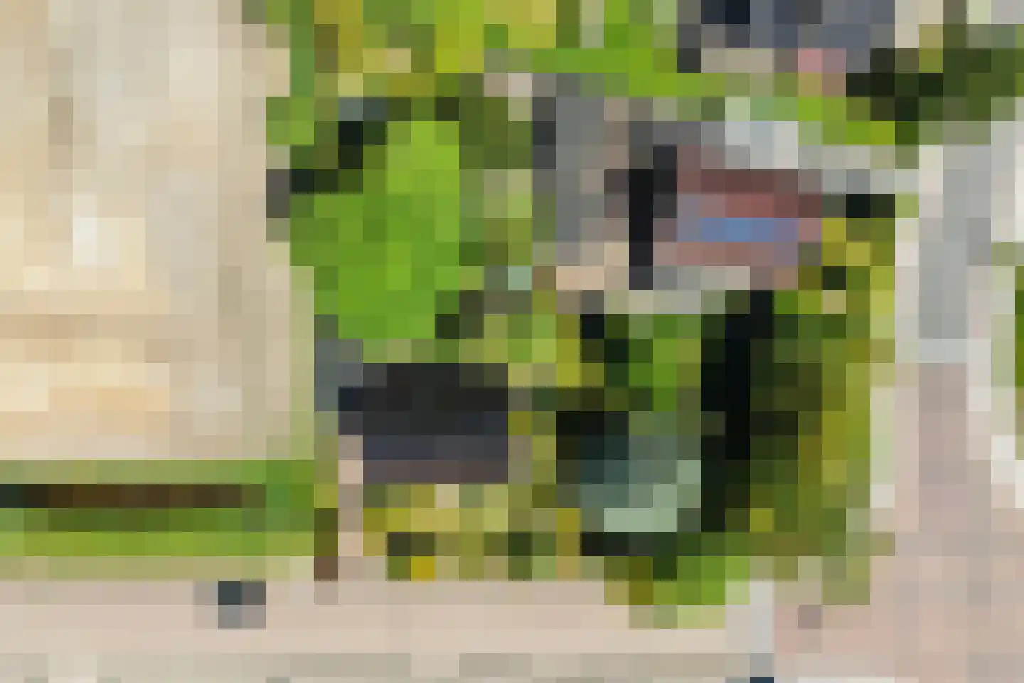 Master Woudstrastrjitte 2 Broeksterwâld thumbnail 46