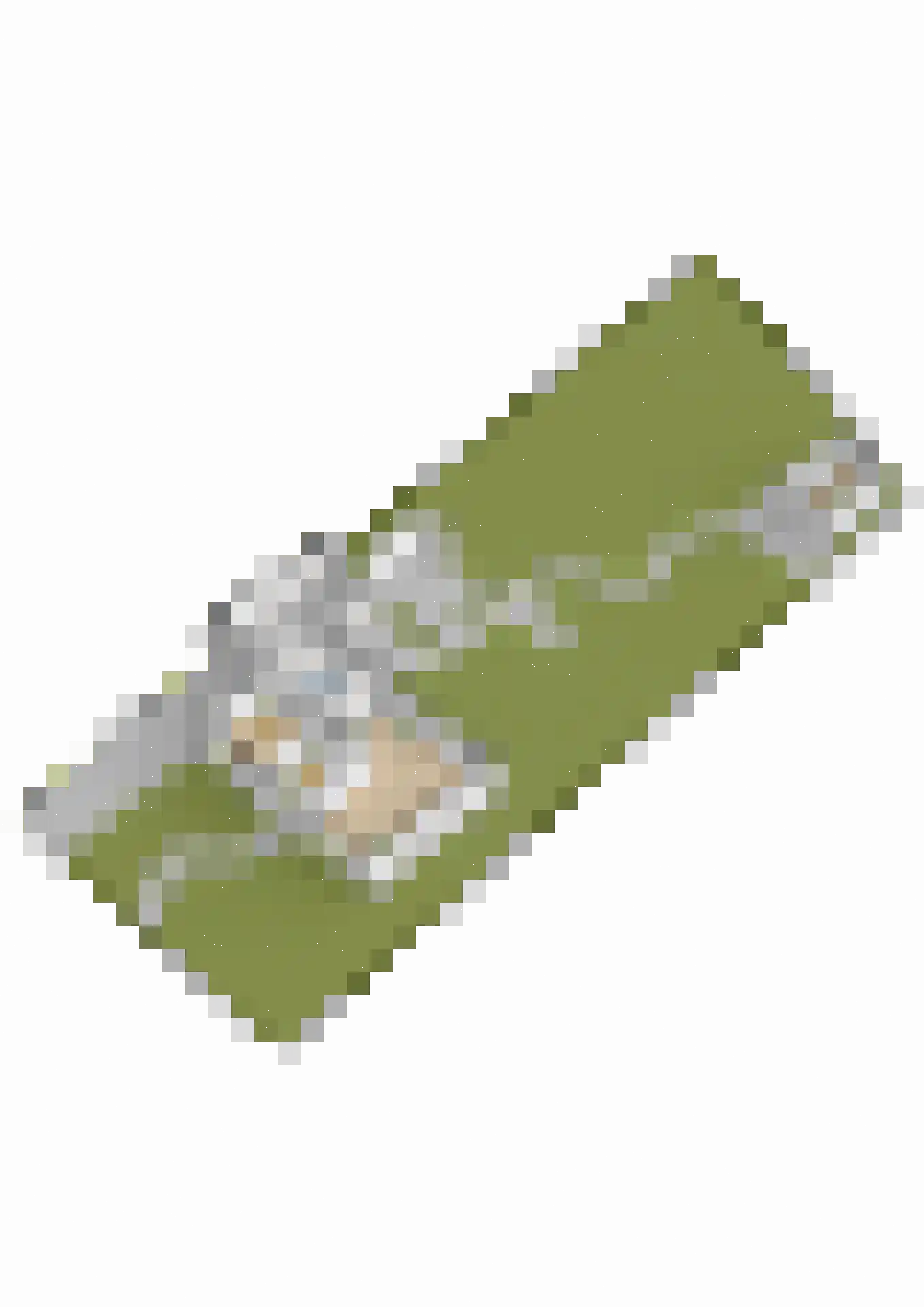 Master Woudstrastrjitte 2 Broeksterwâld thumbnail 57