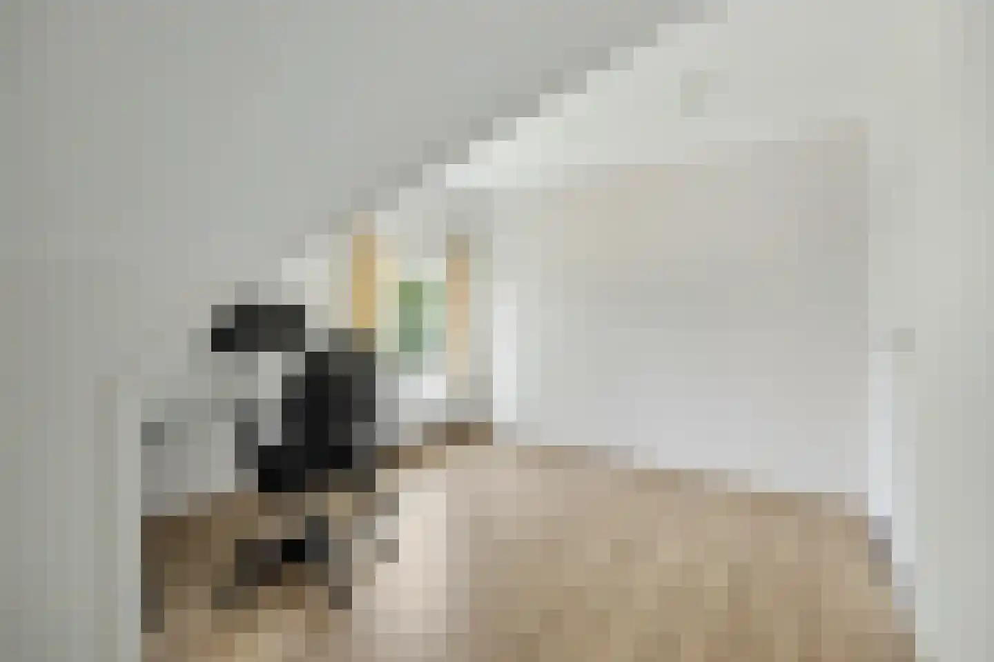 Masterveldweg 5 Winterswijk Huppel thumbnail 32