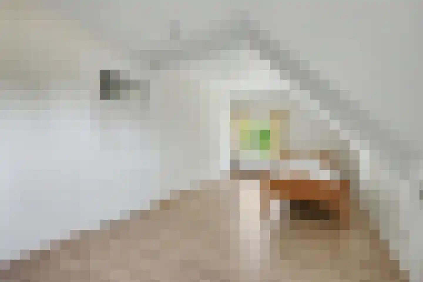 Masterveldweg 5 Winterswijk Huppel thumbnail 33