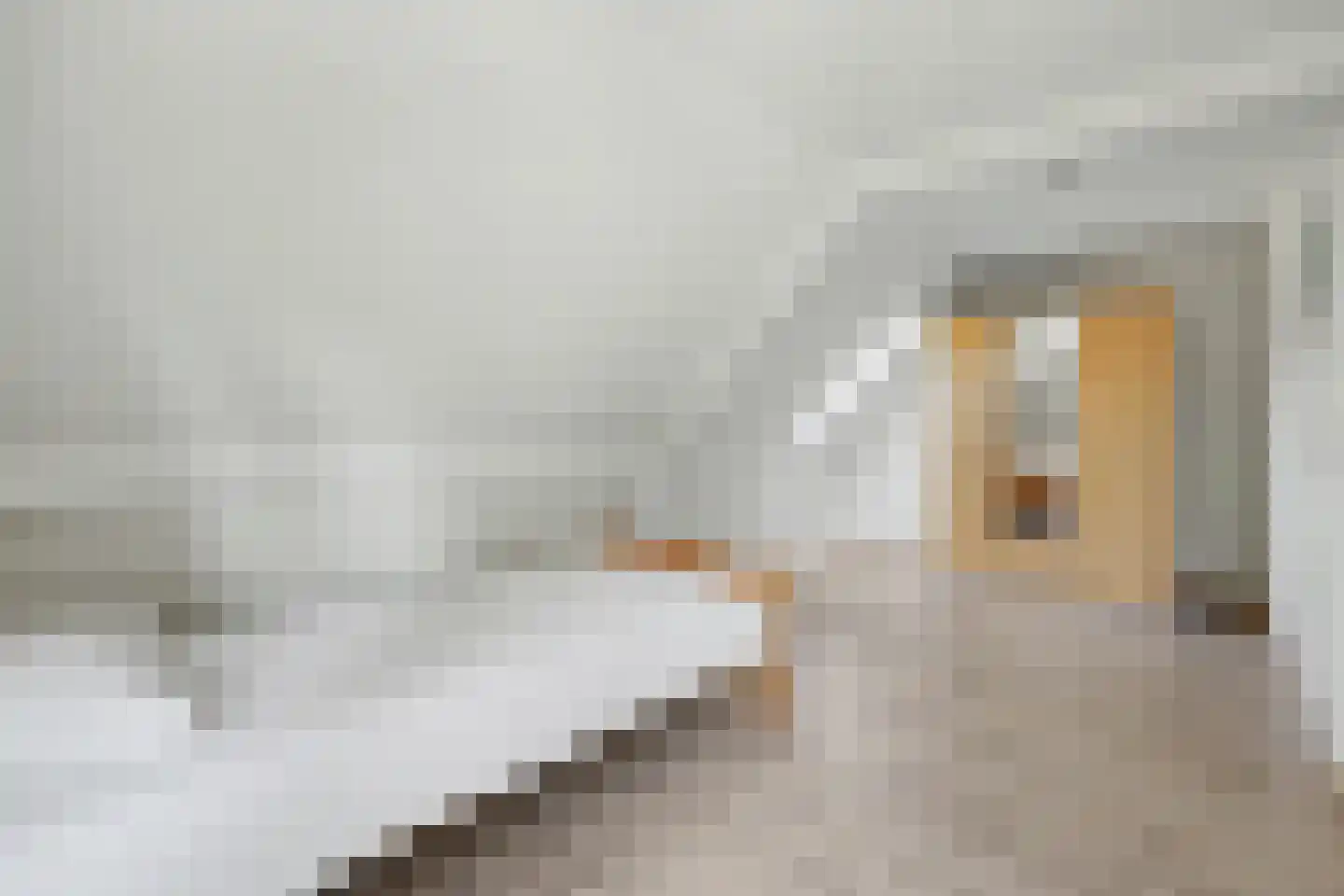 Masterveldweg 5 Winterswijk Huppel thumbnail 34