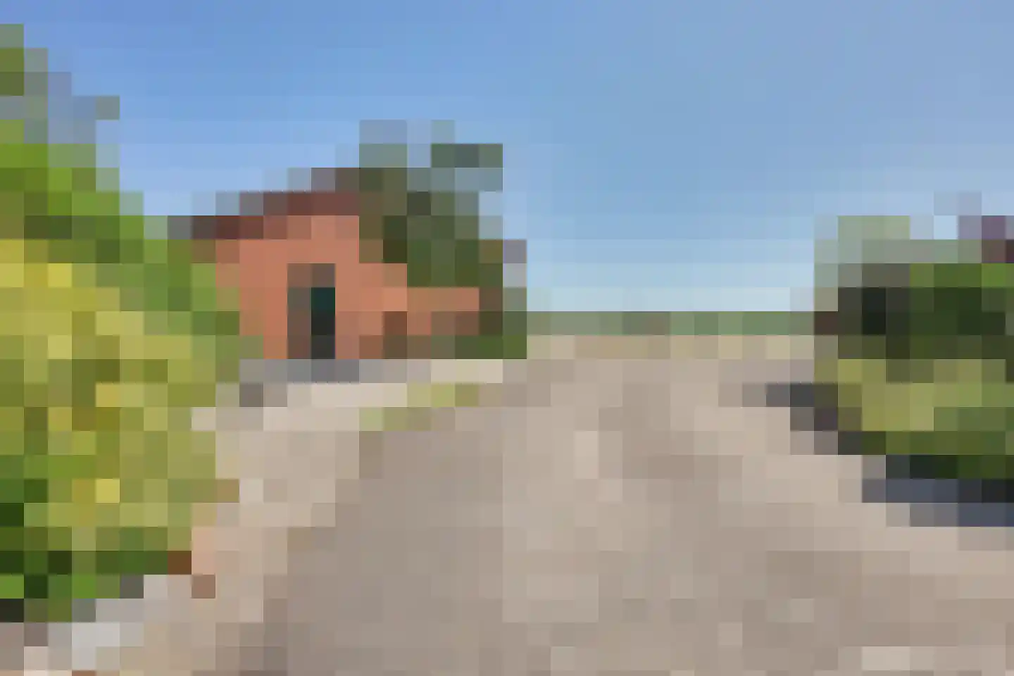 Masterveldweg 5 Winterswijk Huppel thumbnail 42
