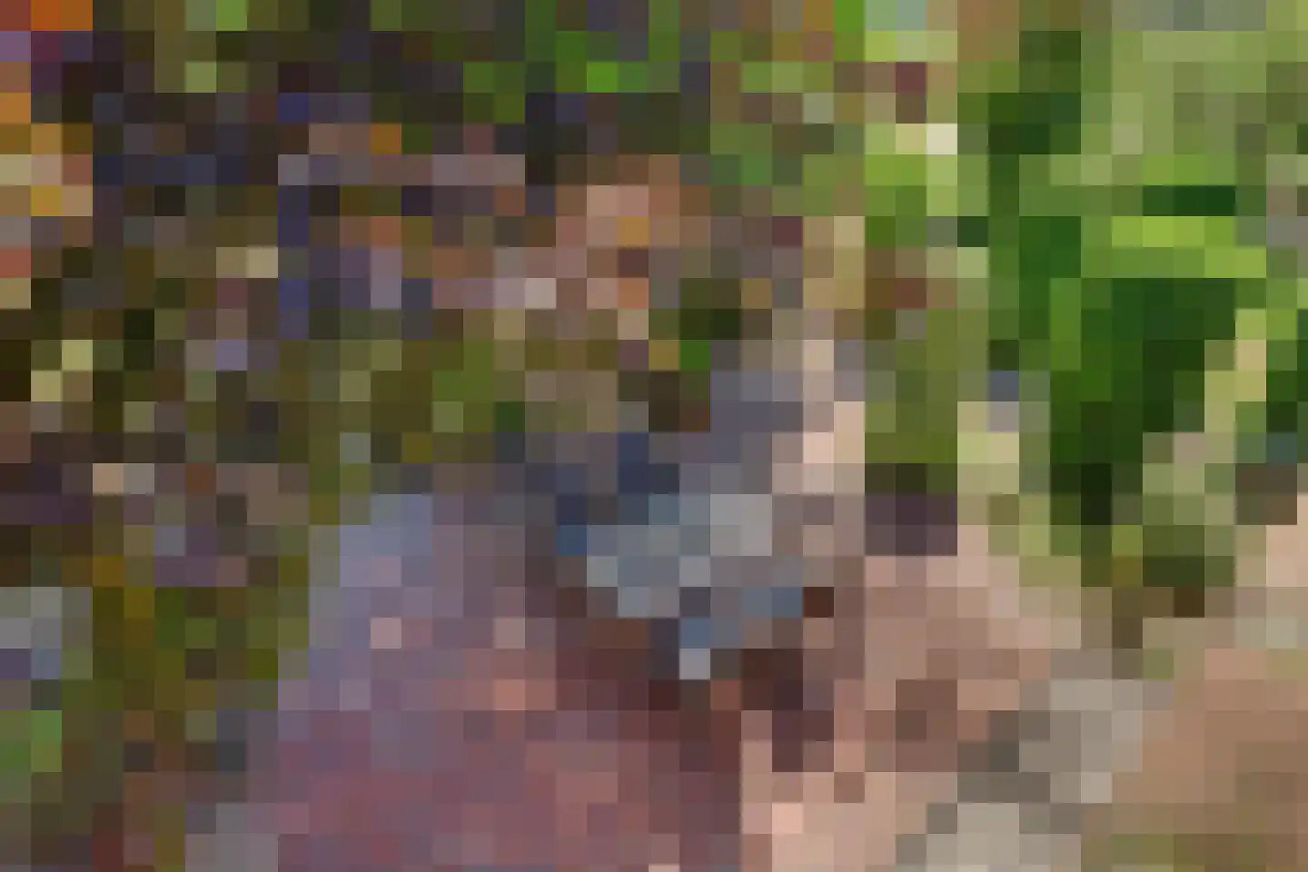 Masterveldweg 7 Winterswijk Huppel thumbnail 33