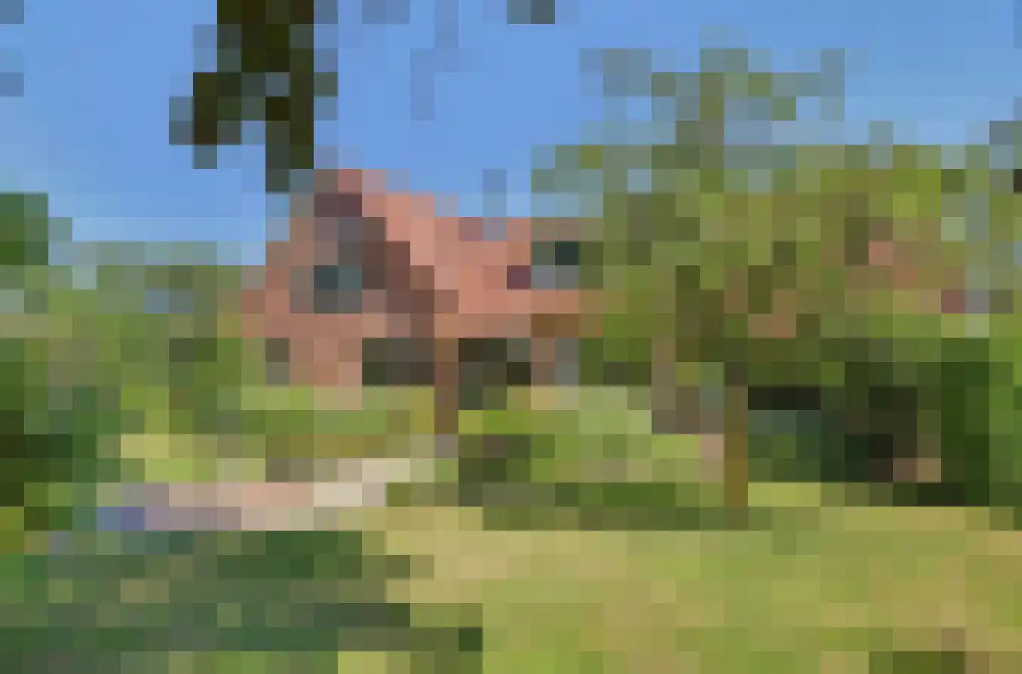 Masterveldweg 7 Winterswijk Huppel thumbnail 7