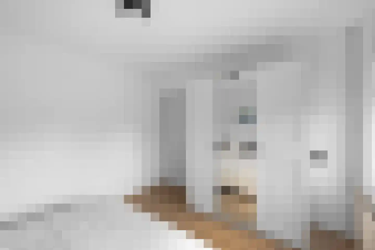 Mastgat 3 Hansweert thumbnail 17