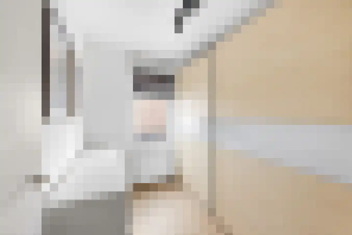 Mastgat 3 Hansweert thumbnail 20