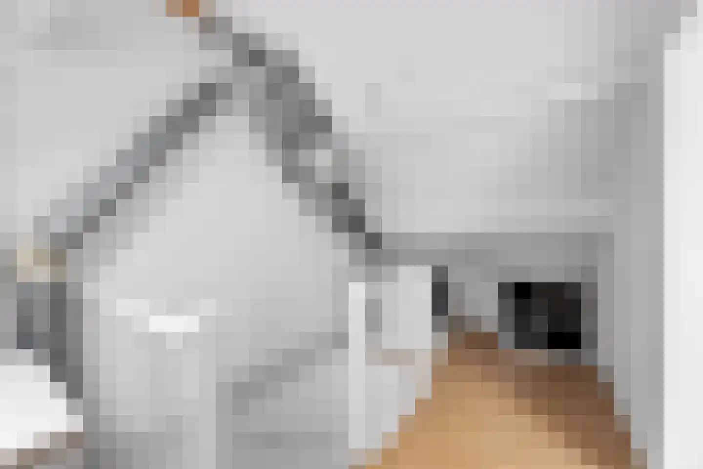 Mastgat 3 Hansweert thumbnail 21