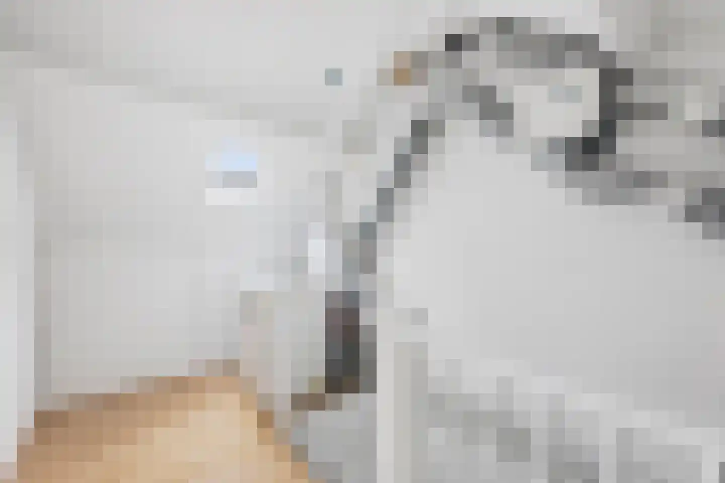 Mastgat 3 Hansweert thumbnail 22