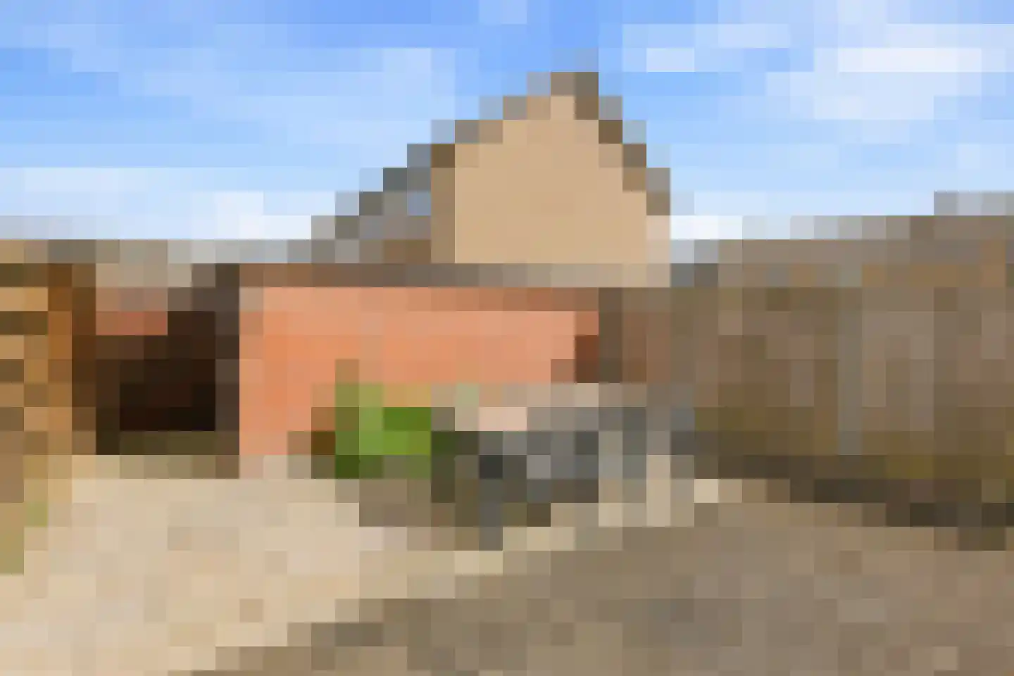 Mastgat 3 Hansweert thumbnail 26