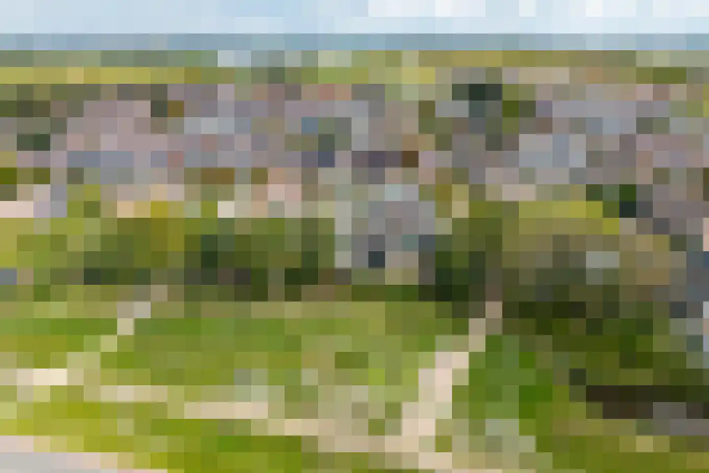Mastgat 3 Hansweert thumbnail 31