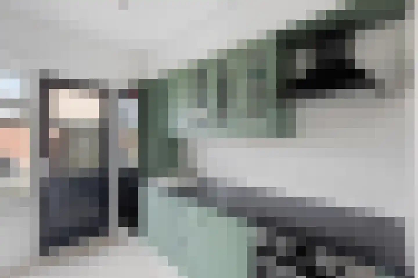 Mastgat 3 Hansweert thumbnail 4