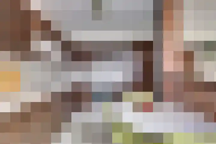 Mastgat 32 Hansweert thumbnail 13
