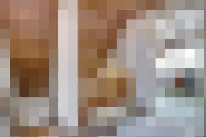 Mastgat 32 Hansweert thumbnail 16