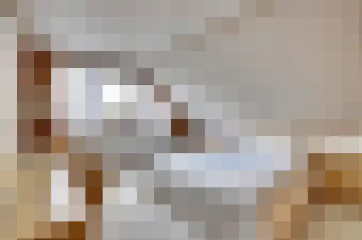 Mastgat 32 Hansweert thumbnail 17